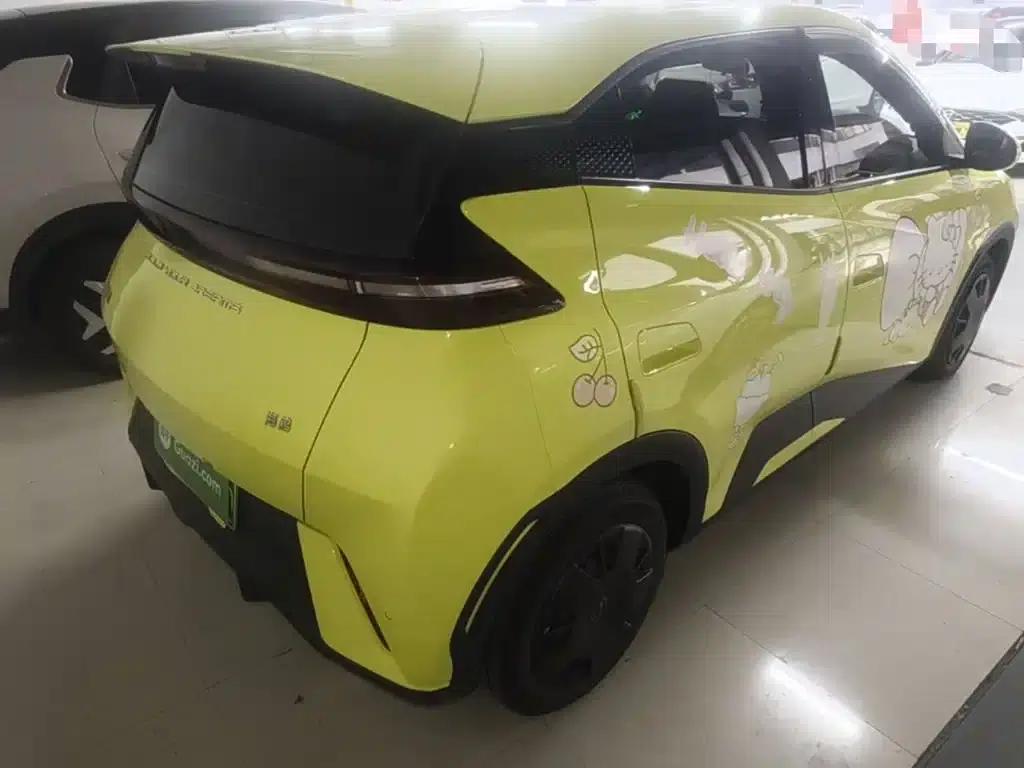 Seagull 2024 Glory Edition 305km/h Vitality Edition — миниатюра 7