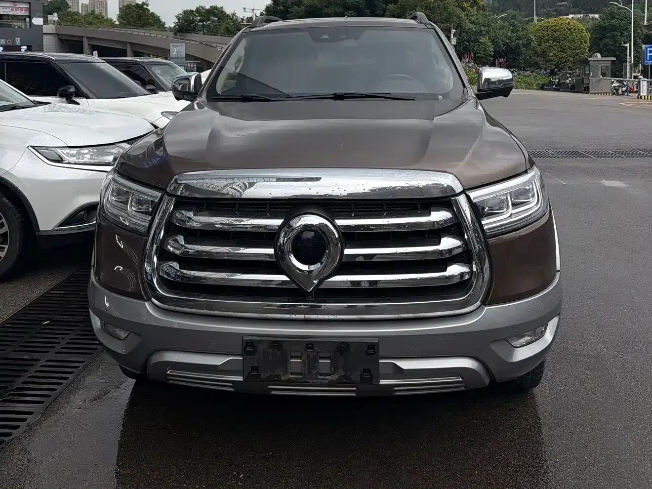 Cannon 2021 2.0T Passenger Global Edition Automatic Diesel 4WD Premium Standard Box GW4D20M — миниатюра 2