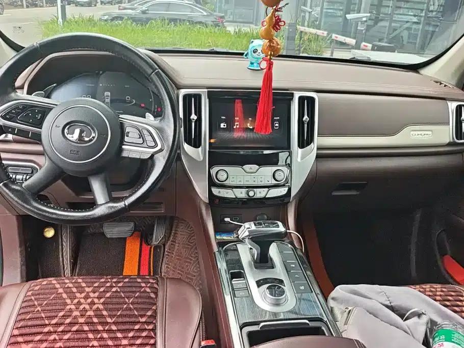 Cannon 2019 2.0T Automatic Gasoline 4WD Premium Edition GW4C20B — миниатюра 12