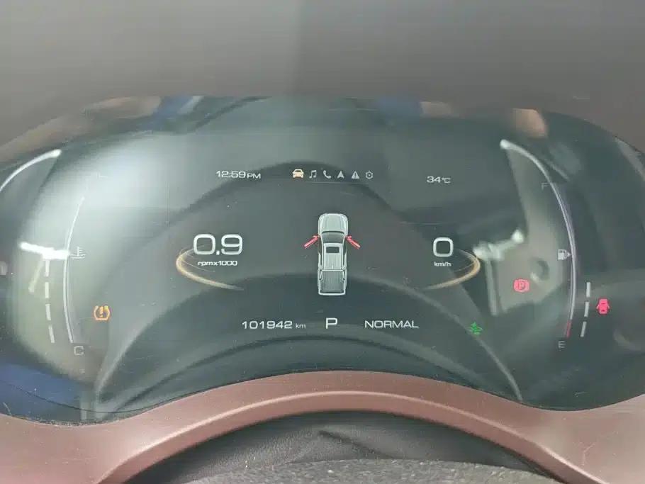 Cannon 2019 2.0T Automatic Gasoline 4WD Premium Edition GW4C20B — миниатюра 14