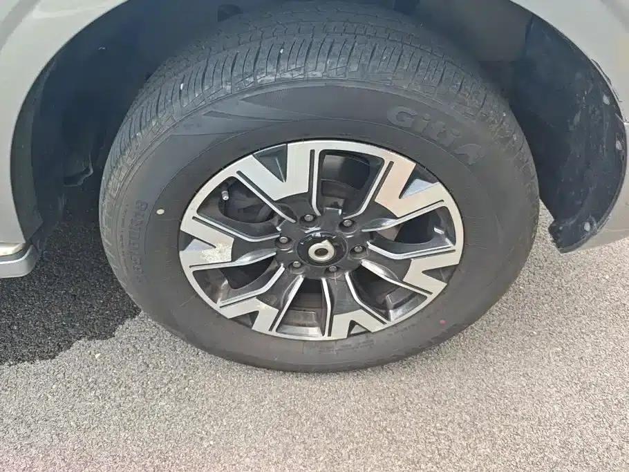 Cannon 2019 2.0T Automatic Gasoline 4WD Premium Edition GW4C20B — миниатюра 6