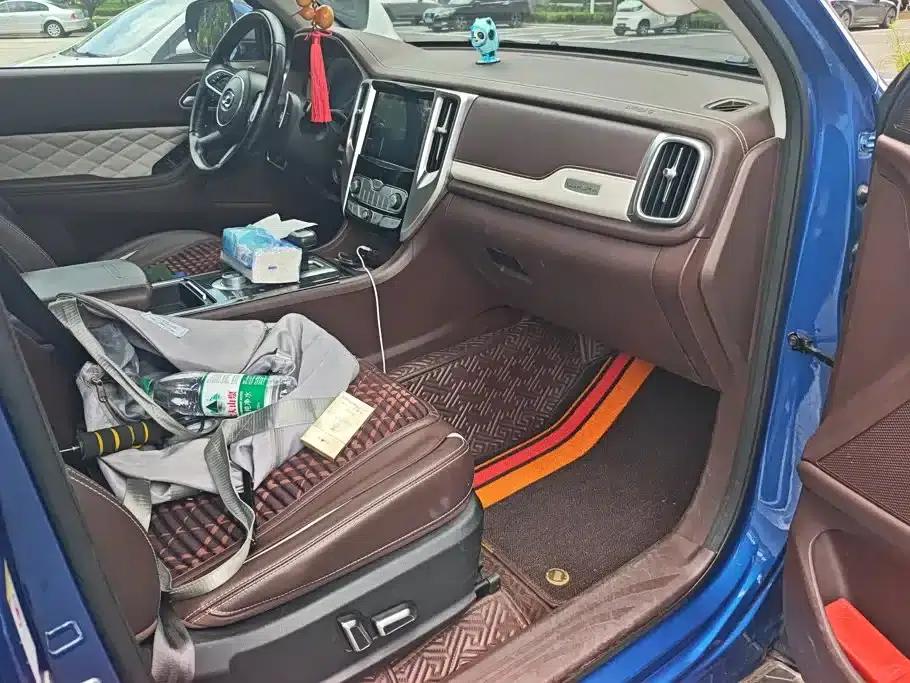 Cannon 2019 2.0T Automatic Gasoline 4WD Premium Edition GW4C20B — миниатюра 8