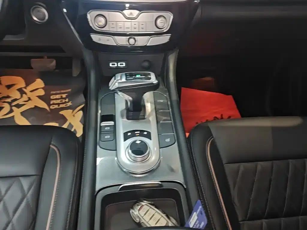 Cannon 2021 2.0T Passenger Global Edition Automatic Diesel Two-Wheel Drive Comfort Standard Box GW4D20M — миниатюра 14