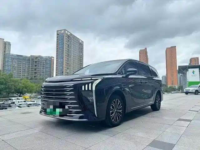 Xinghai V9 2024 1.5TD 200km Qingyun Ladder Series Premium Model