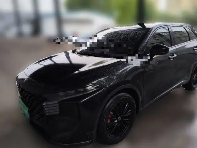 Venucia V 2022 260T Black Horse Edition · Idol