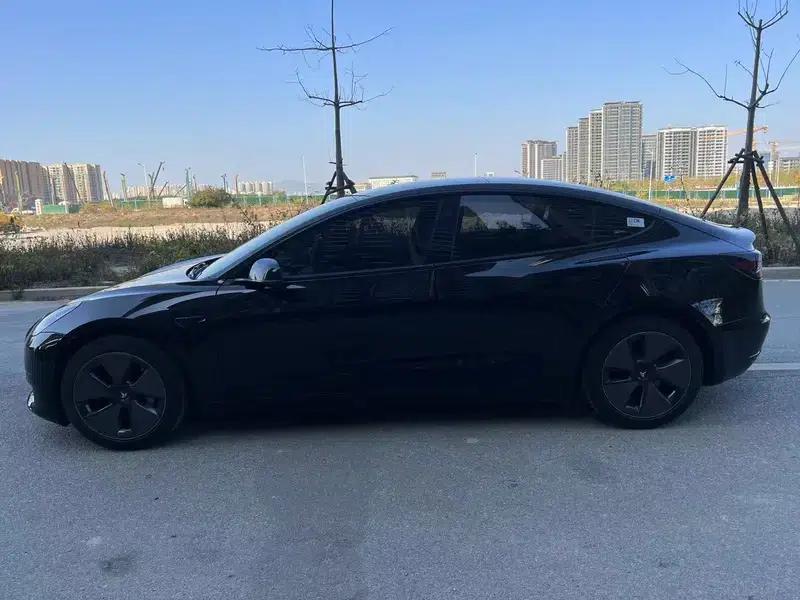 Model 3 2022 Rear-Wheel Drive — миниатюра 3