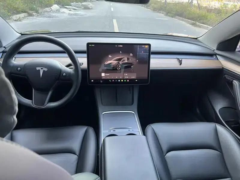 Model 3 2022 Rear-Wheel Drive — миниатюра 7