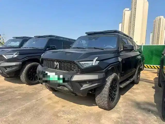 Warrior 917 2023 Range Extended Basic Edition