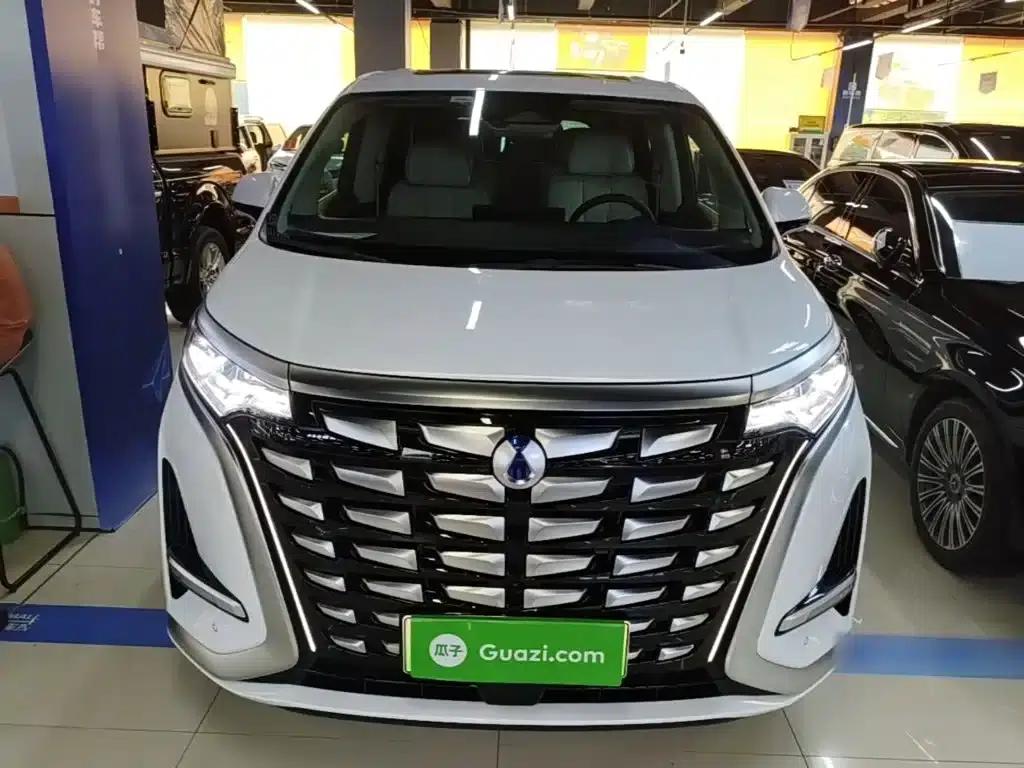 Denza D9 2024 DM-i 980 4WD Premium Edition — миниатюра 3