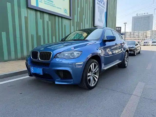 2010 BMW X6 M
