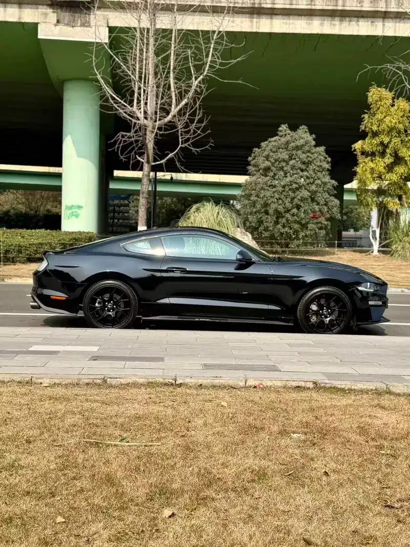 2020 Mustang 2.3T EcoBoost — миниатюра 4