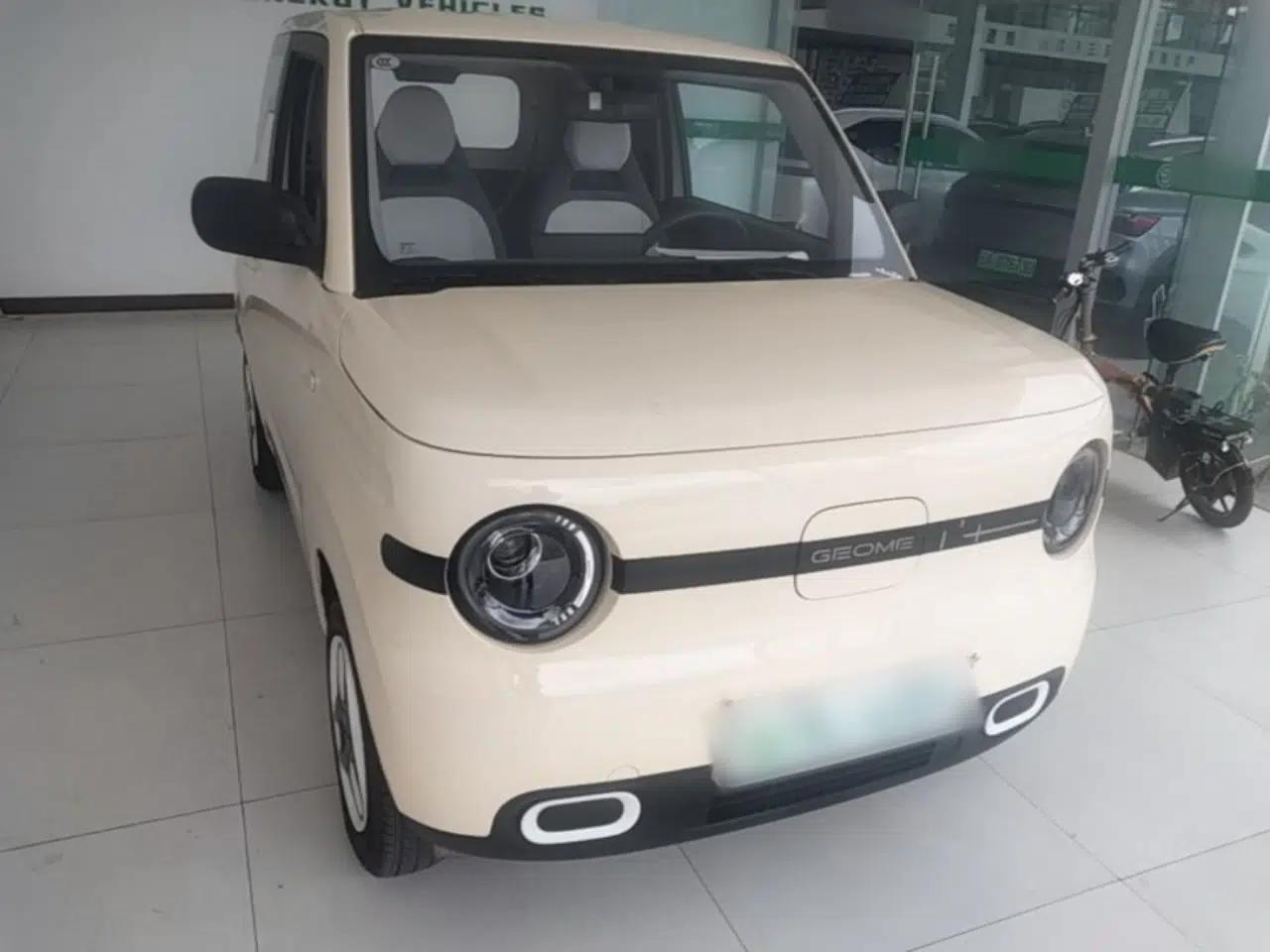 Geely Galaxy Panda 2025 210 km – Yuanqi Bear — миниатюра 3