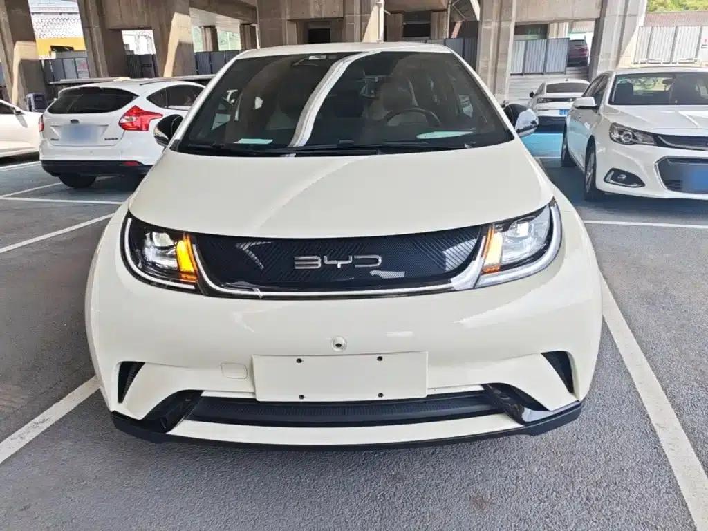 Dolphin 2023 420km Freedom Edition — миниатюра 3