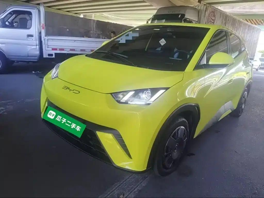 Seagull 2023 Vitality Edition — миниатюра 2