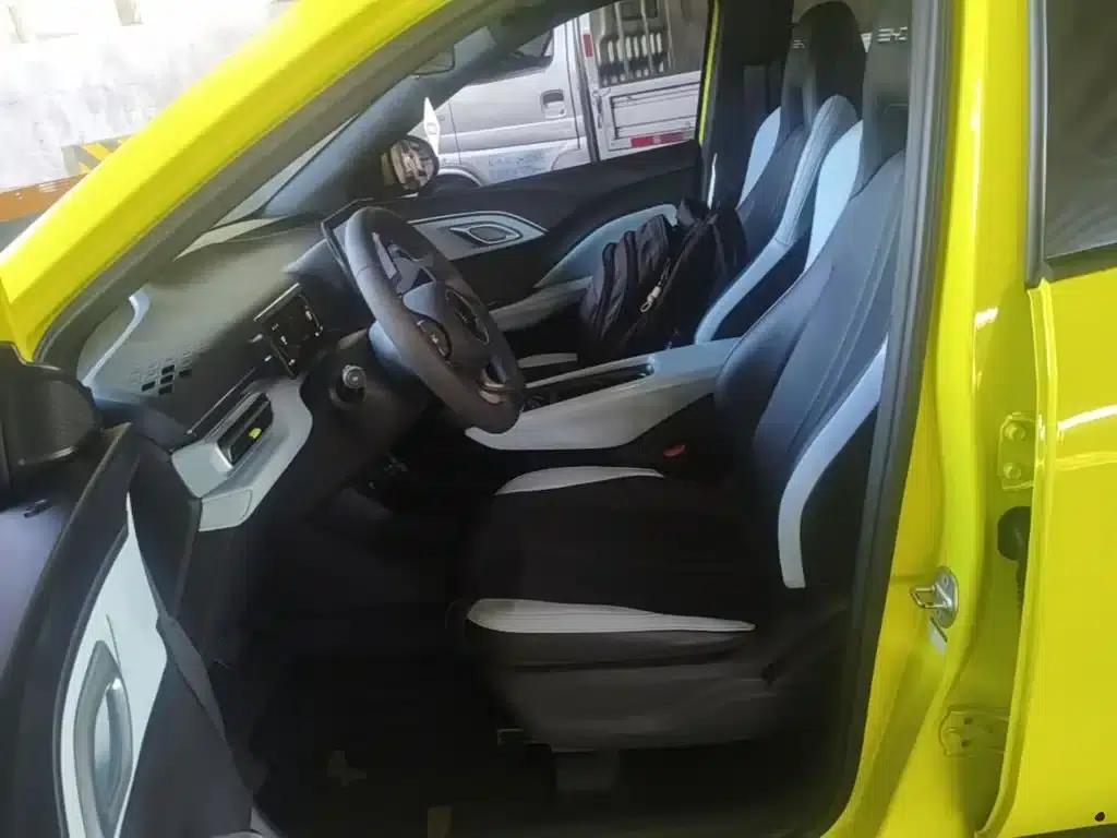 Seagull 2023 Vitality Edition — миниатюра 15