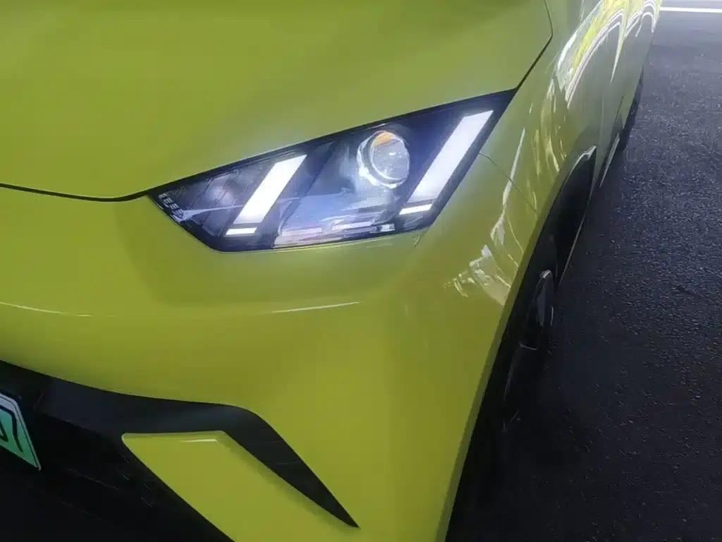 Seagull 2023 Vitality Edition — миниатюра 24