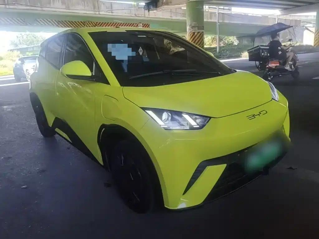 Seagull 2023 Vitality Edition — миниатюра 4
