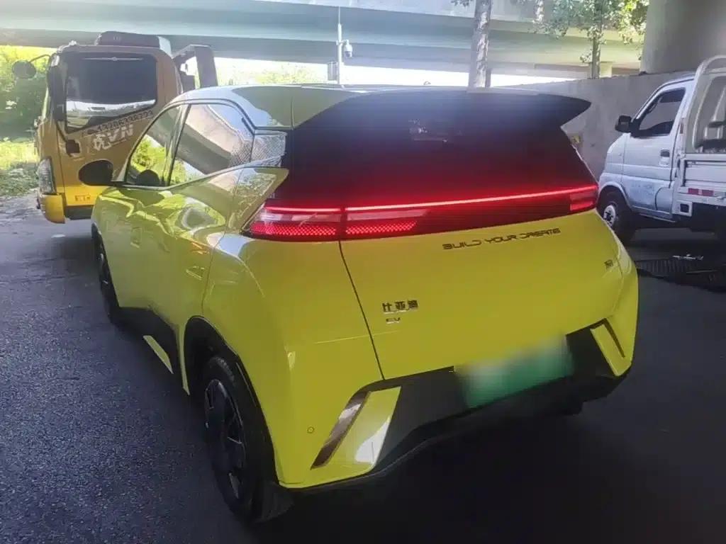 Seagull 2023 Vitality Edition — миниатюра 5