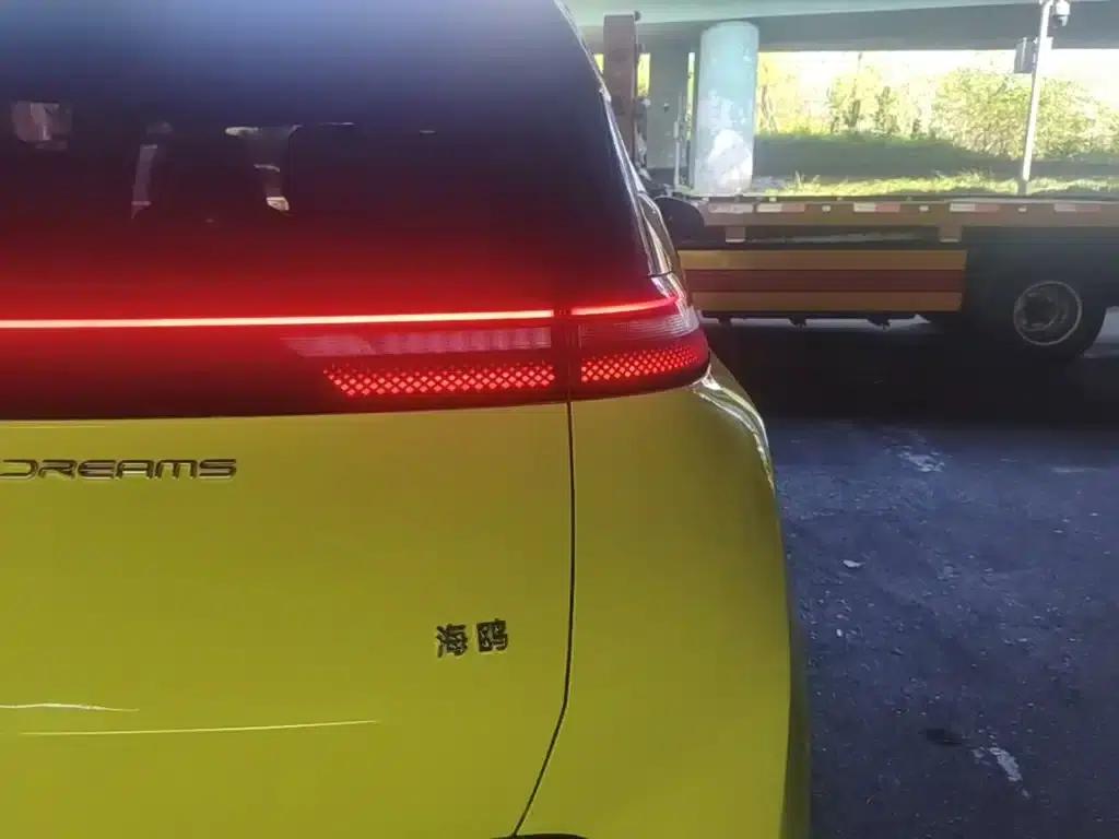 Seagull 2023 Vitality Edition — миниатюра 8