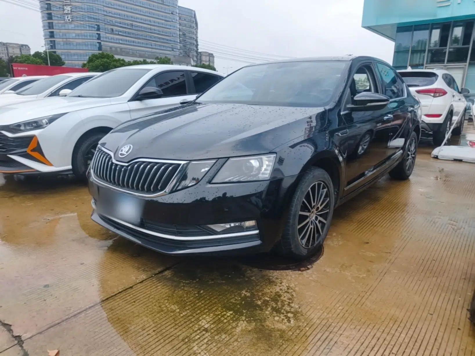 Skoda Octavia 2019 TSI230 DSG SmartDrive Luxury Edition China VI — миниатюра 1