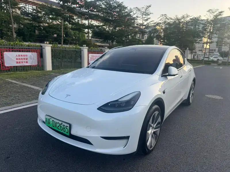 Model Y 2021 Standard Range Rear-Wheel Drive — миниатюра 1