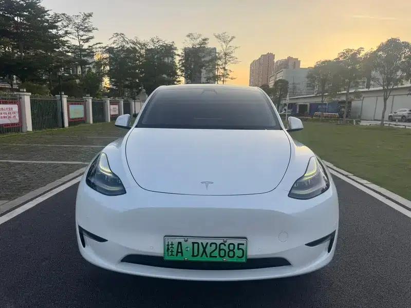 Model Y 2021 Standard Range Rear-Wheel Drive — миниатюра 2