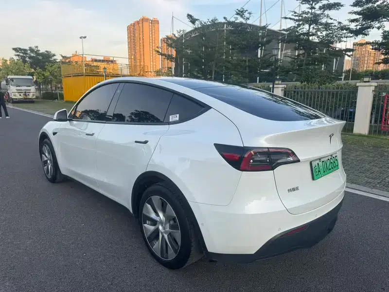 Model Y 2021 Standard Range Rear-Wheel Drive — миниатюра 5