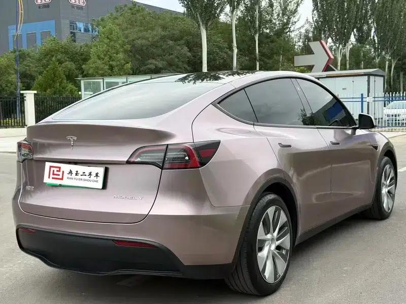 Model Y 2022 Rear-Wheel Drive — миниатюра 6