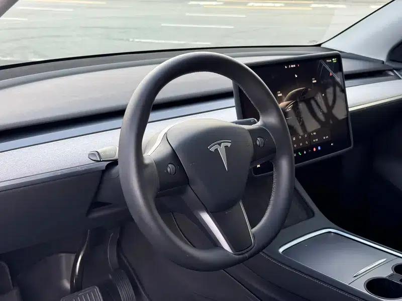Model Y 2024 Long Range All-Wheel Drive — миниатюра 13