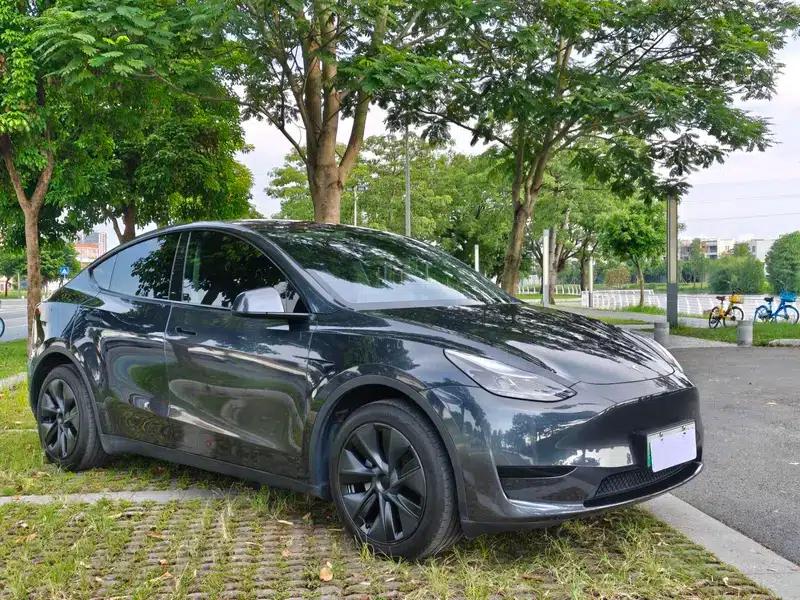 Model Y 2024 Rear-Wheel Drive — миниатюра 3