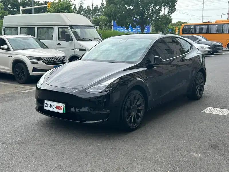 Model Y 2021 Standard Range Rear-Wheel Drive — миниатюра 1
