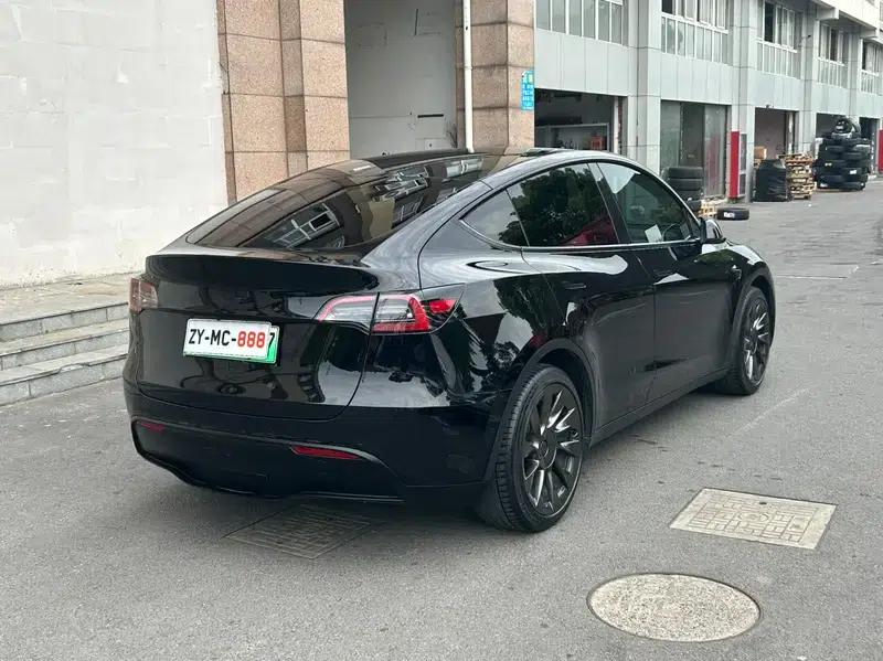 Model Y 2021 Standard Range Rear-Wheel Drive — миниатюра 6