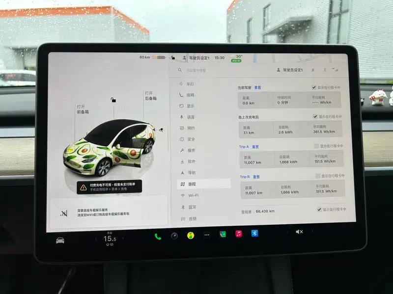 Model Y 2022 Facelift Rear-Wheel Drive Version — миниатюра 10