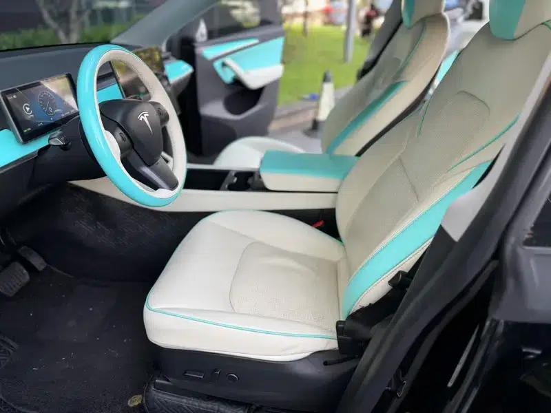 Model Y 2021 Standard Range Rear-Wheel Drive — миниатюра 9