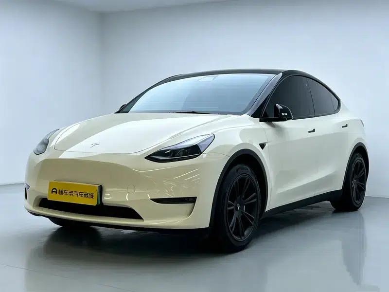 Model Y 2021 Standard Range Rear-Wheel Drive — миниатюра 1