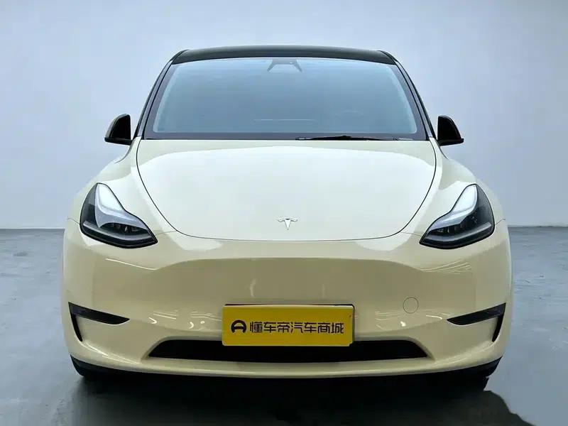 Model Y 2021 Standard Range Rear-Wheel Drive — миниатюра 2