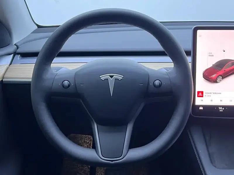 Model Y 2021 Standard Range Rear-Wheel Drive — миниатюра 16