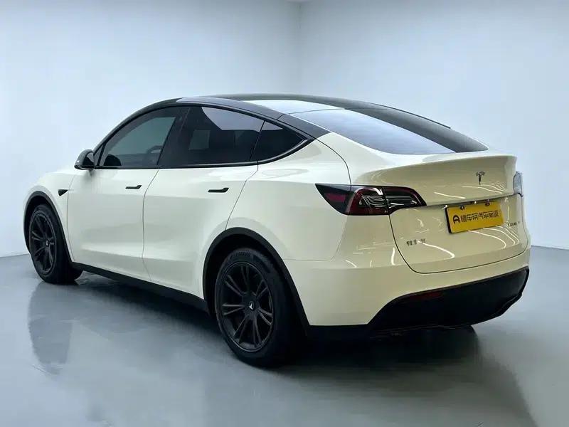 Model Y 2021 Standard Range Rear-Wheel Drive — миниатюра 5