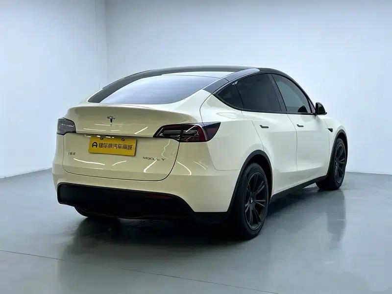 Model Y 2021 Standard Range Rear-Wheel Drive — миниатюра 7