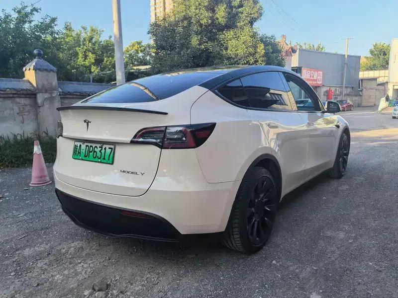 Model Y 2022 Rear-Wheel Drive — миниатюра 6