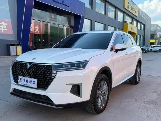 Venucia Star 2020 260T Automatic Star Edition