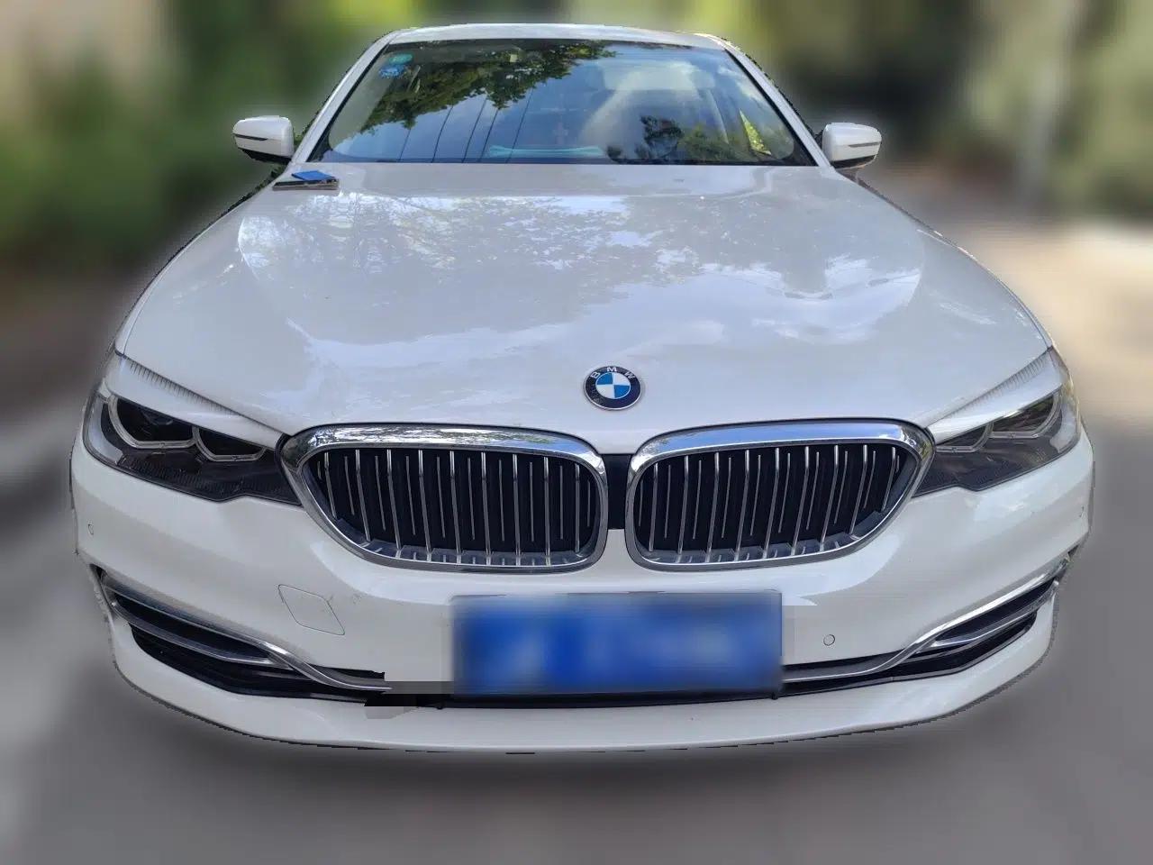 BMW 5 Series 2018 Revised Version 530Li Leading Edition Luxury Package — миниатюра 2