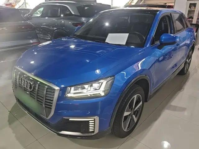 Audi Q2L e-tron 2019 Q2L e-tron Pure Electric Smart Enjoyment Model