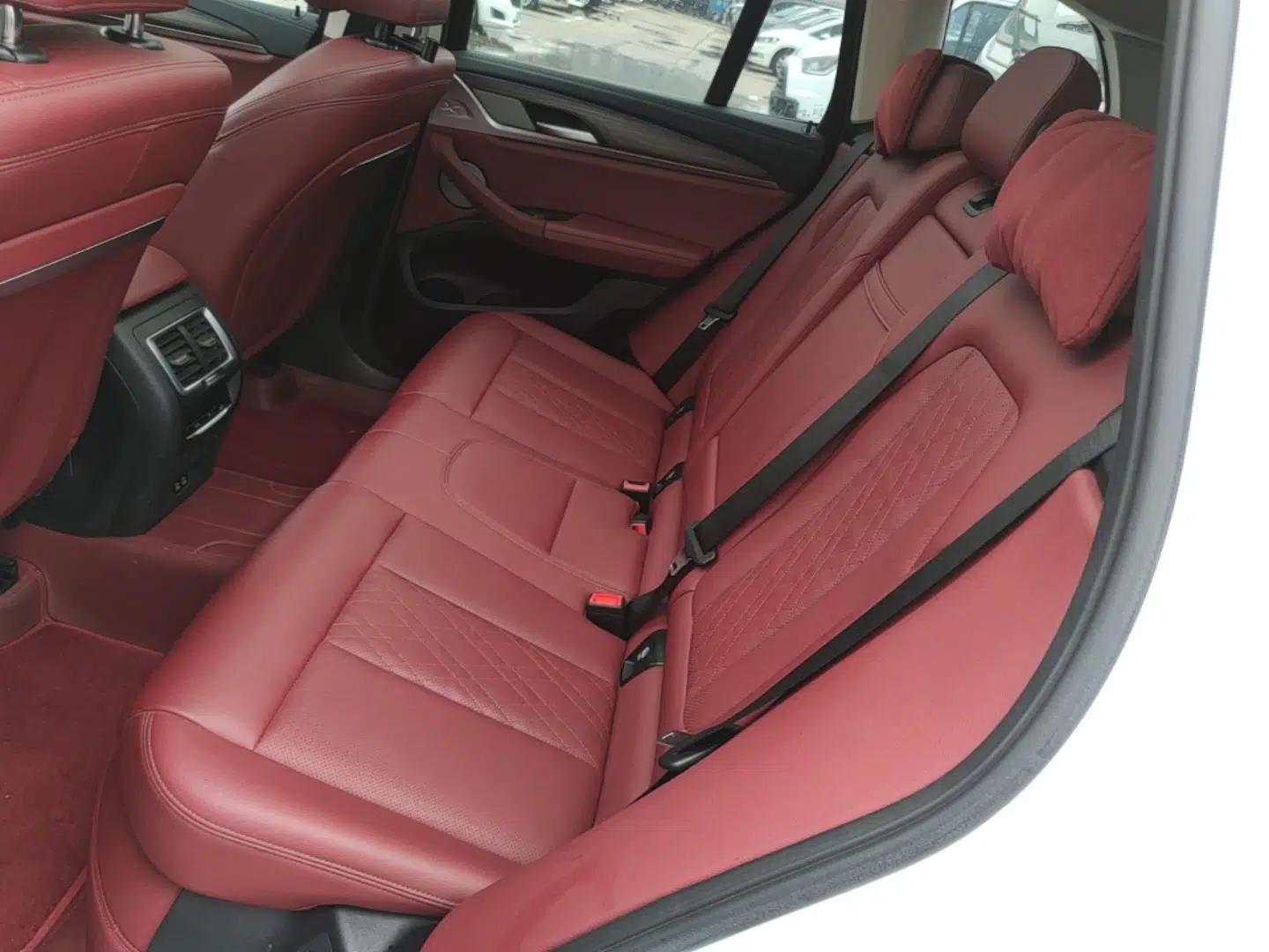 BMW X3 2022 xDrive30i Luxury Model M Night Sky Package — миниатюра 20