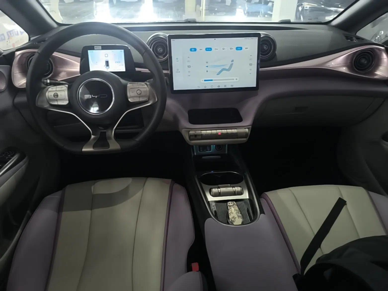 BYD Dolphin 2021 405 km Fashion Edition — миниатюра 12
