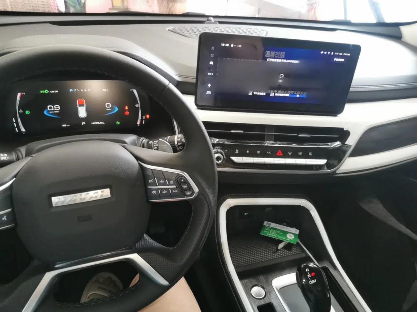 Haval H6 2025 1.5T National Trend Champion Edition — миниатюра 12