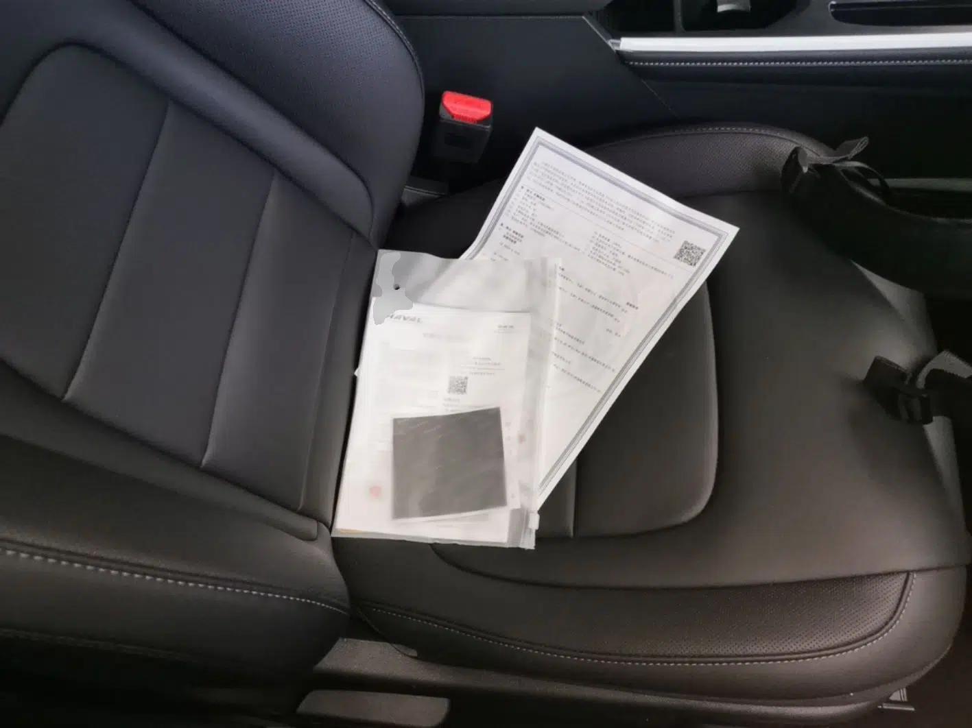 Haval H6 2025 1.5T National Trend Champion Edition — миниатюра 19