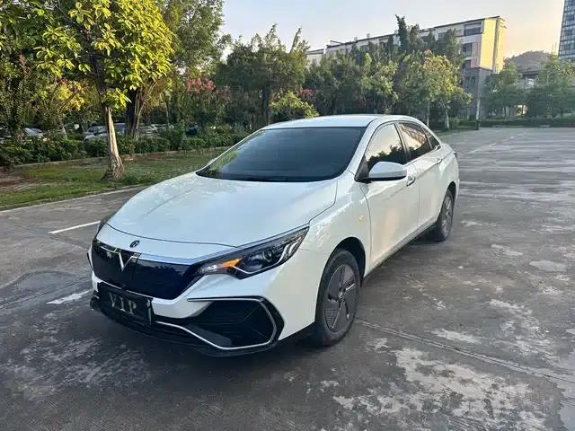 Venucia D60EV 2023 PLUS Smart Edition RJ Model