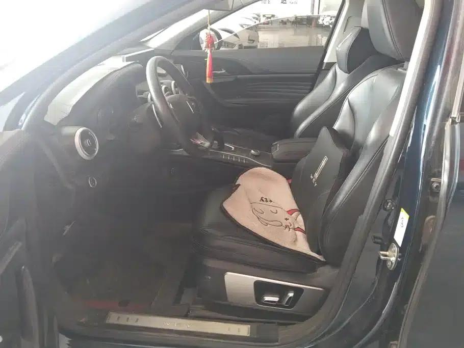 Weipai VV7 2020 2.0T Super Luxury Edition — миниатюра 9