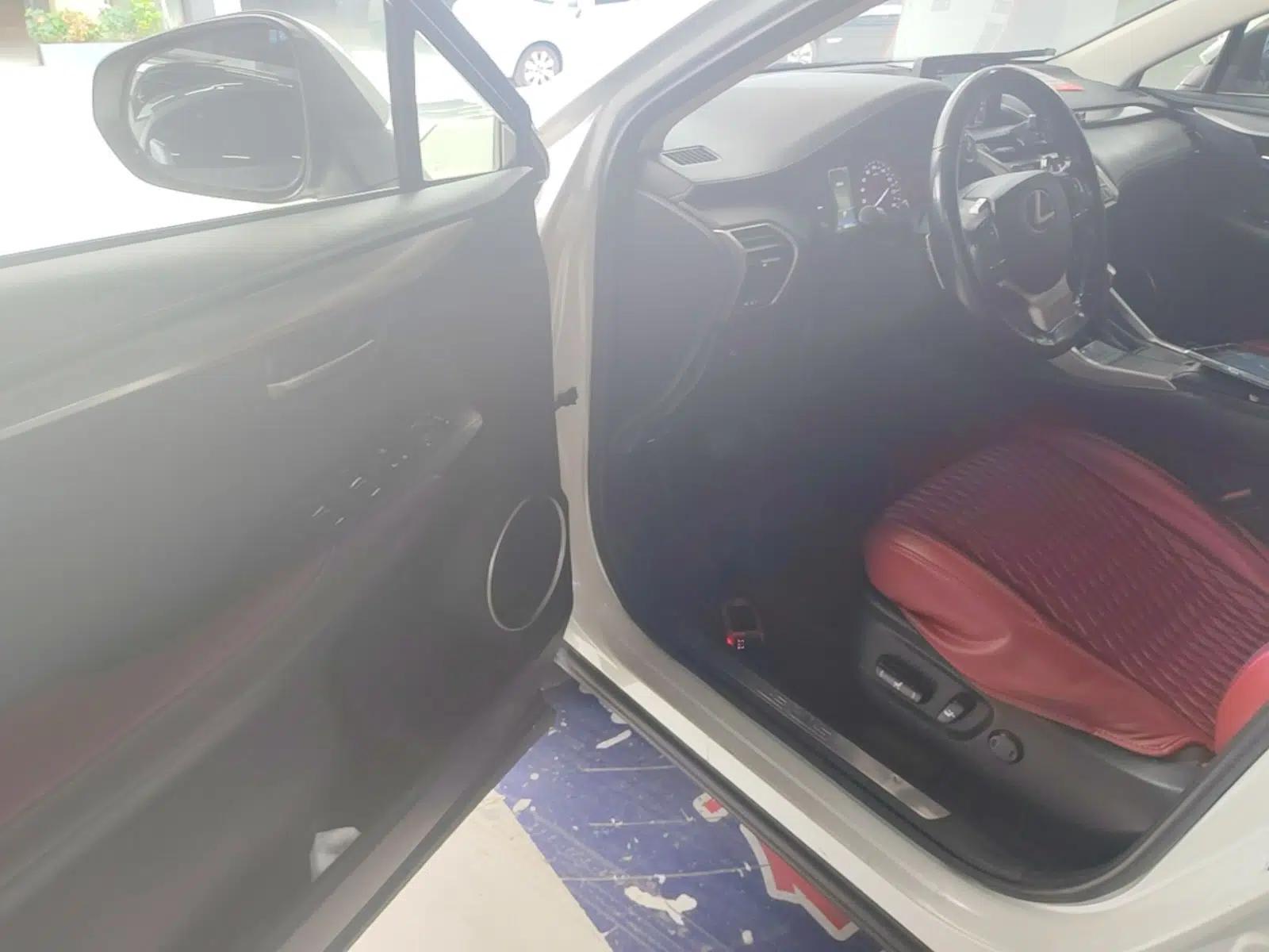 Lexus NX 2017 300h Front-Drive FENGSHANG Edition — миниатюра 18